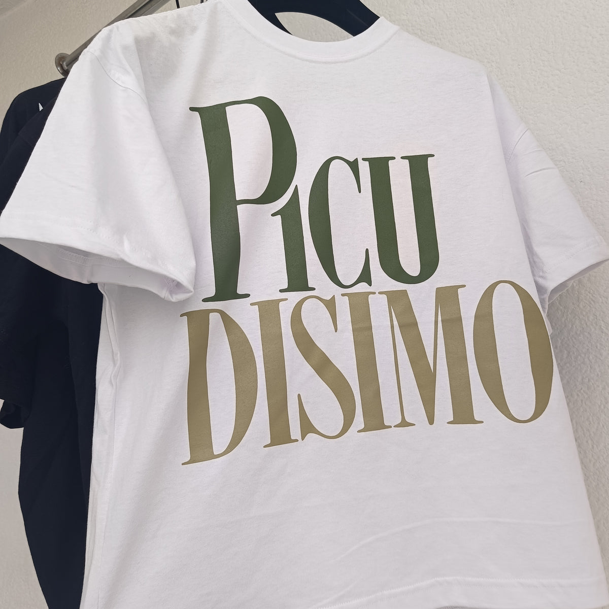 PicuDisimo