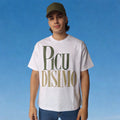 PicuDisimo